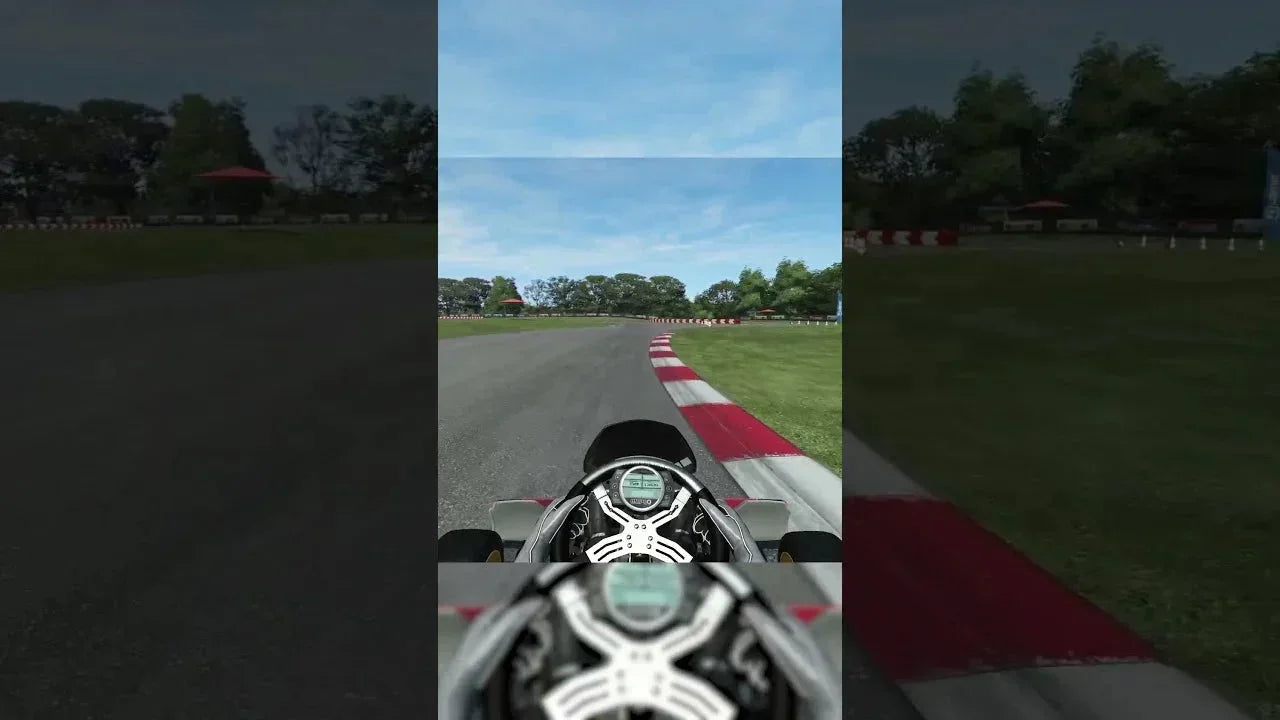 kart racing simulator interface showing realistic first-person view and racing telemetry on a virtual track
