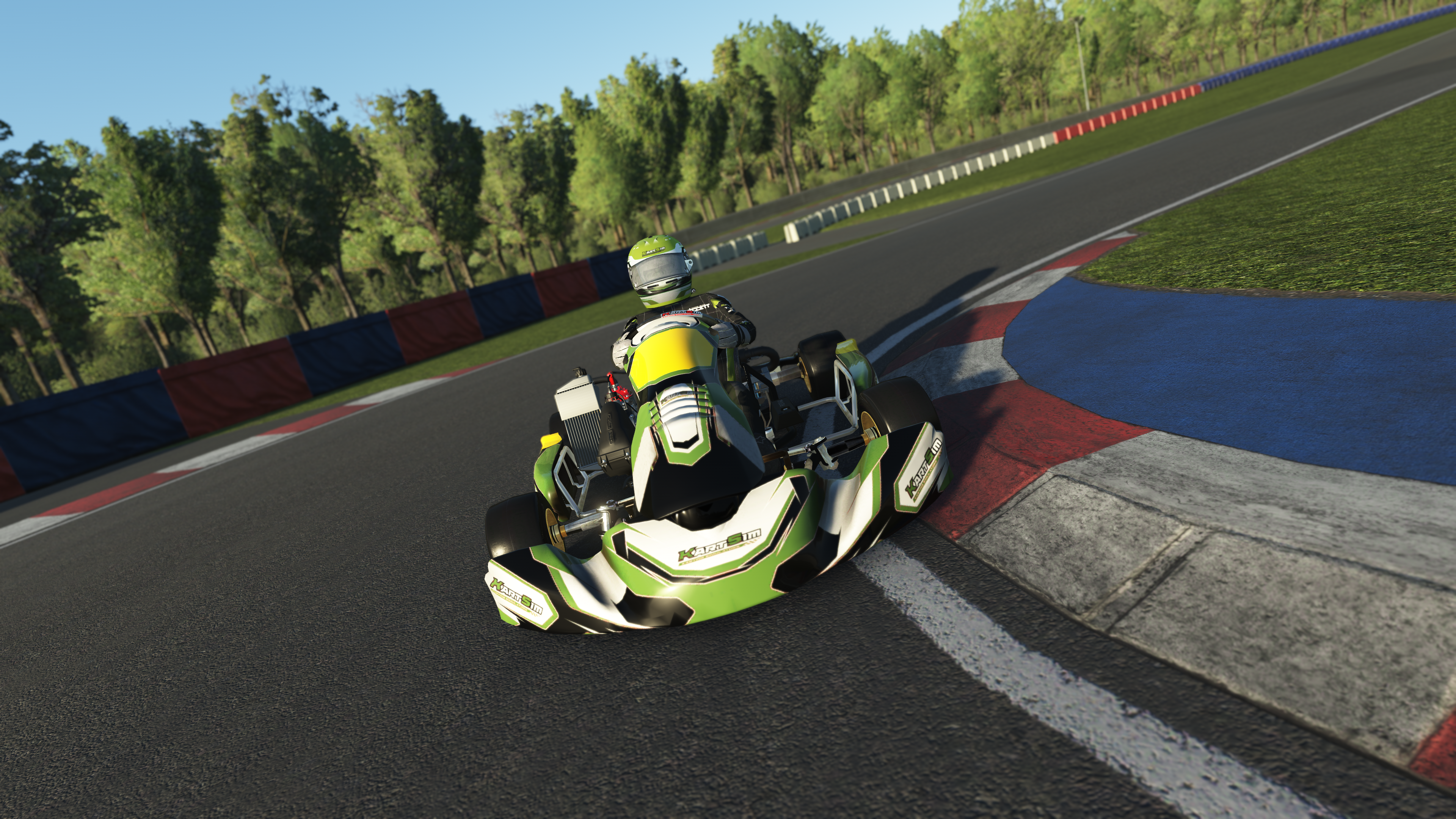 Adult kart driver training on a KartSim realistic kart simulator with professional coaching and telemetry analysis.