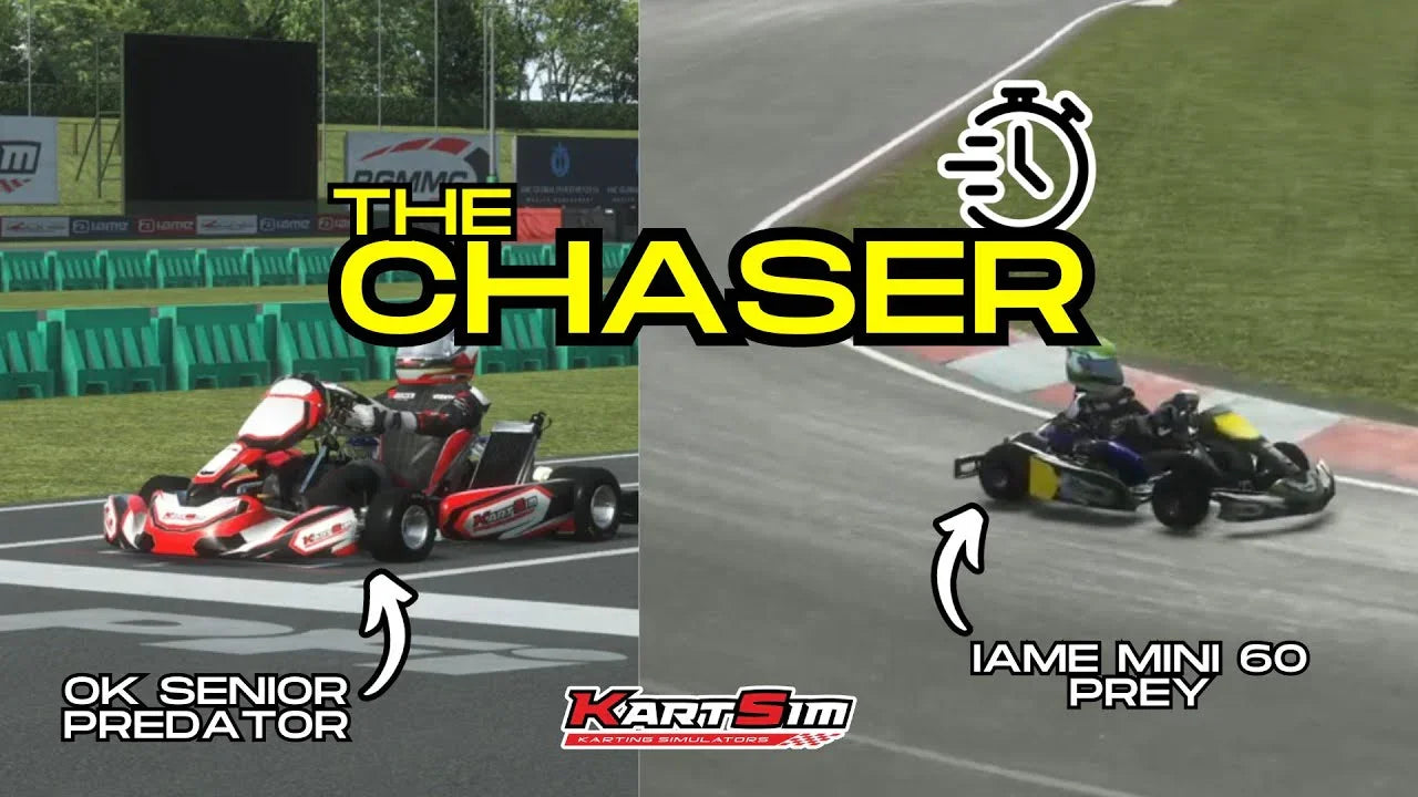 Kart racing simulator software interface showing two karts in professional training scenario