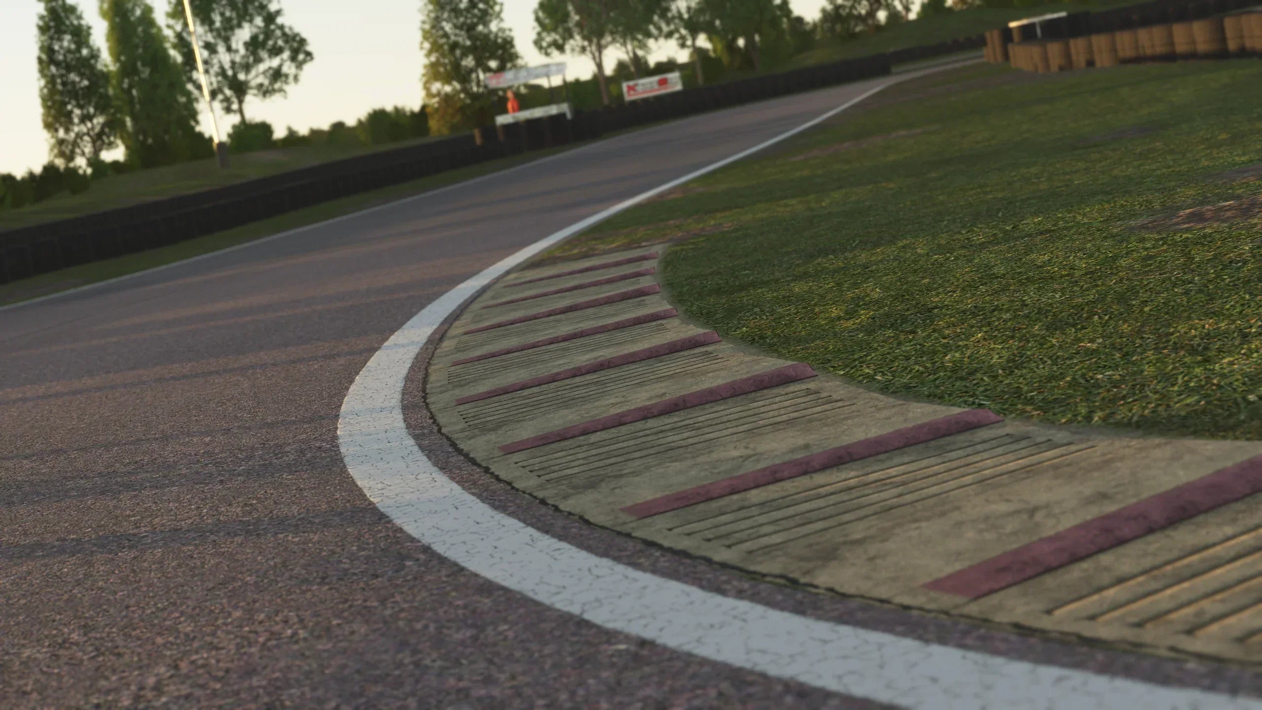 Fast sweeping corner at Bayford Meadows in the KartSim racing simulator.