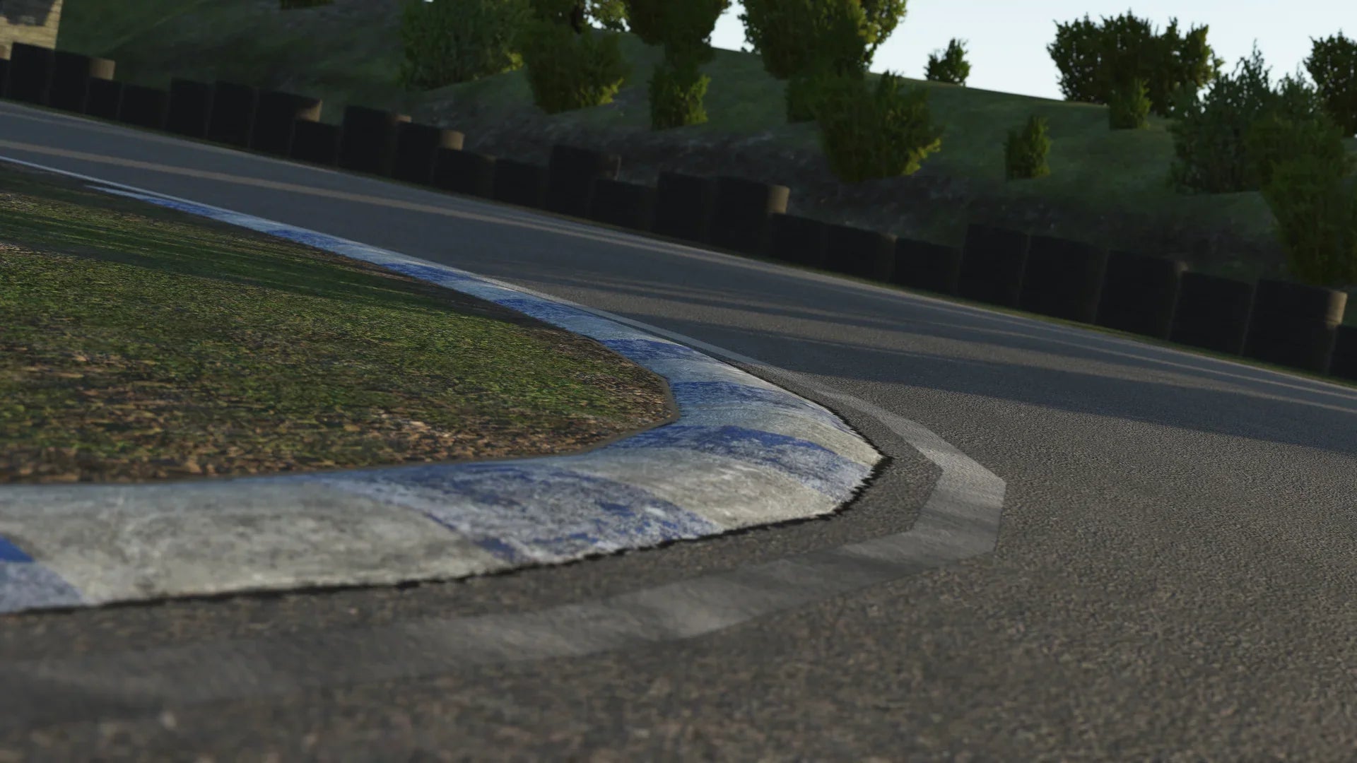 Close-up of kerbing at Hooton Park in KartSim – A textured blue-and-white corner kerb with worn tyre marks, showing fine track detail for realistic racing.