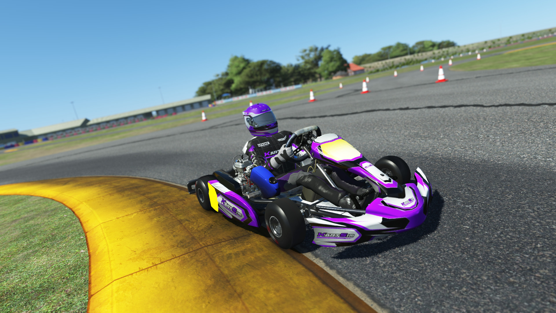 IAME Swift Cadet 005 kart with blue and white design shown on KartSim software racing on kart track with tire barriers