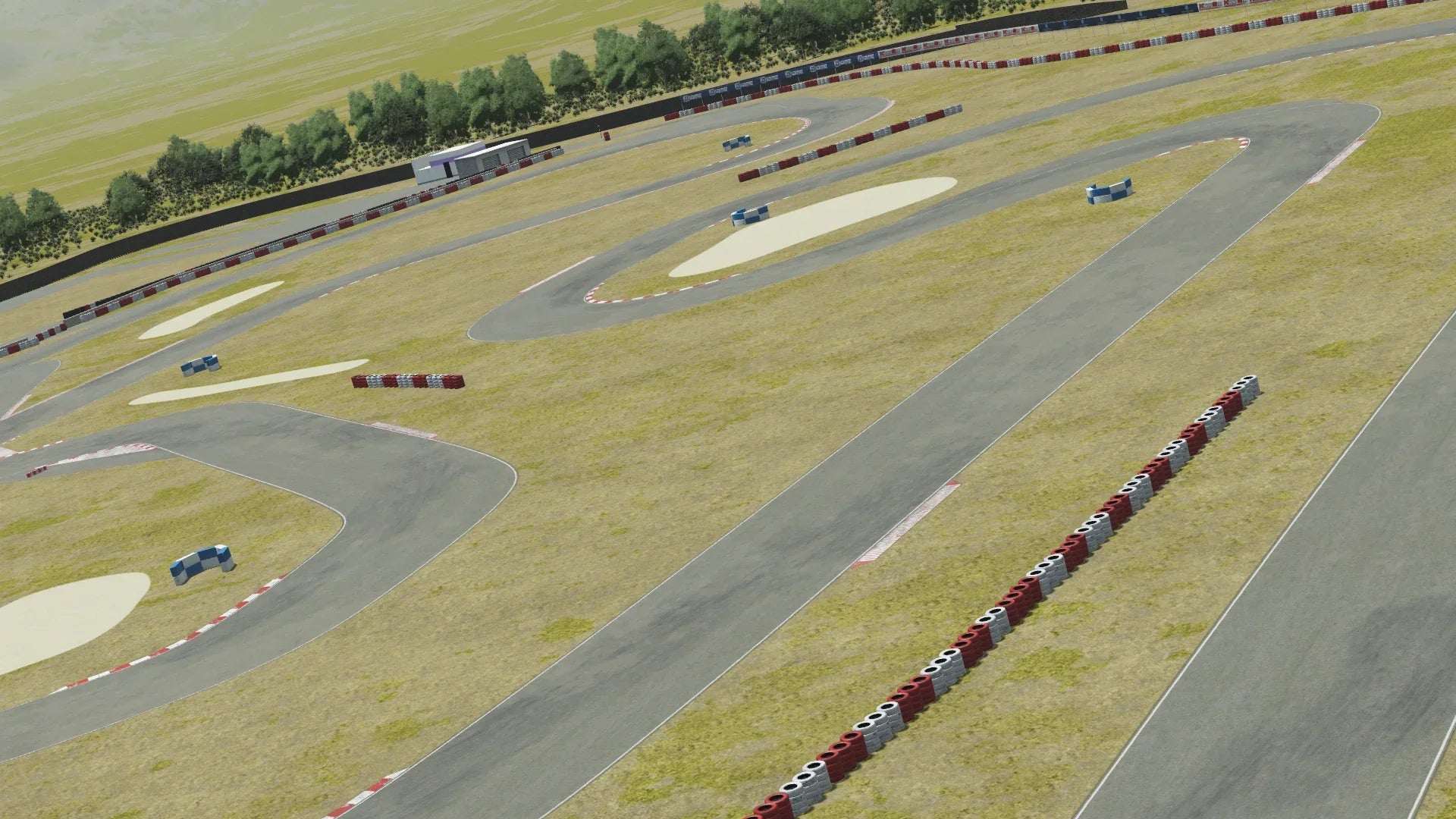 In-simulation view of the Valencia karting circuit in KartSim software, showing the asphalt track with red-white kerbs, grass run-off areas, tire barriers, and surrounding dry grass landscape under a clear sky.