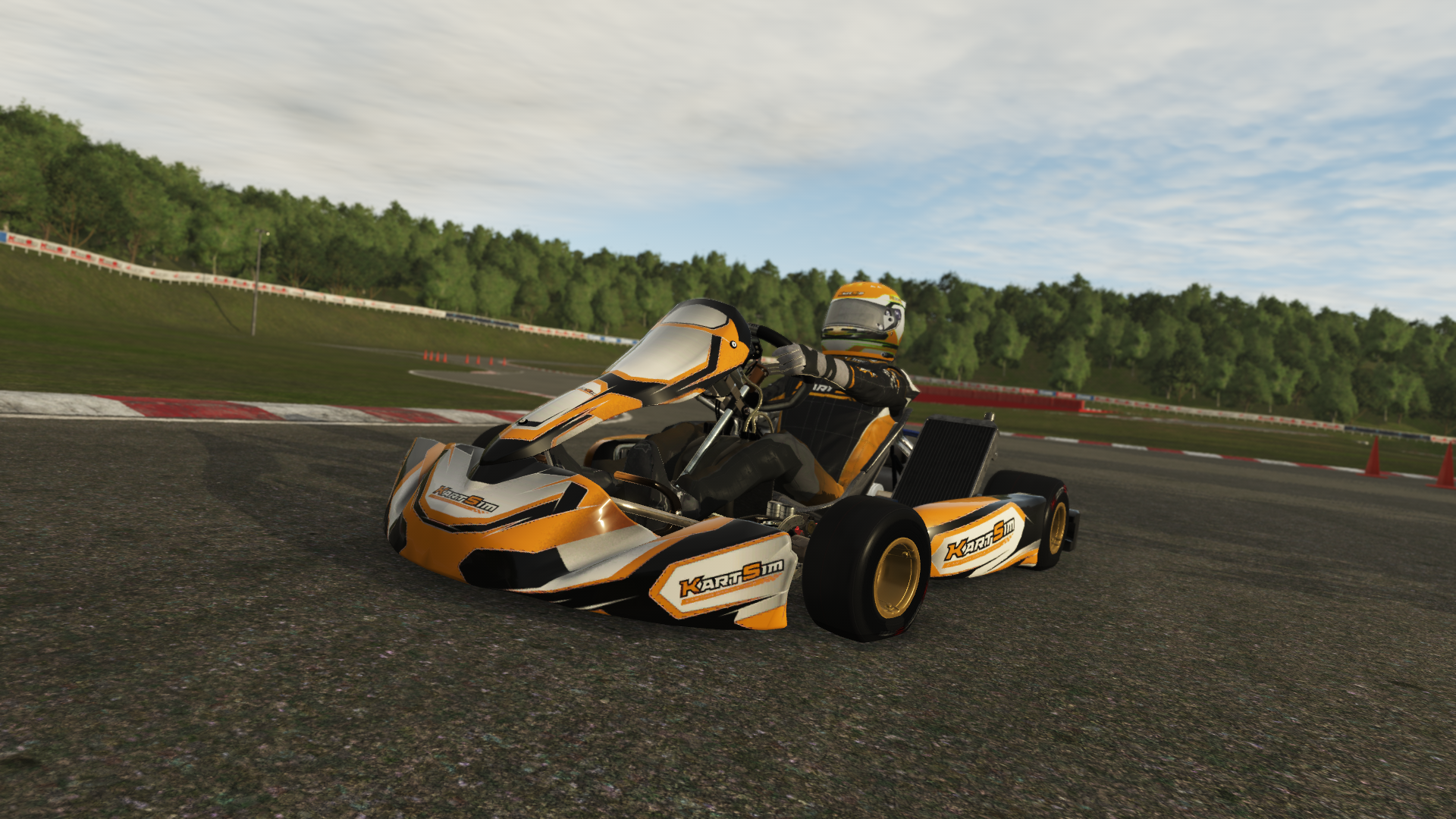 KZ EU 005 shifter kart with 125cc 6-speed gearbox engine, designed for European drivers, featured on KartSim software for realistic virtual kart racing