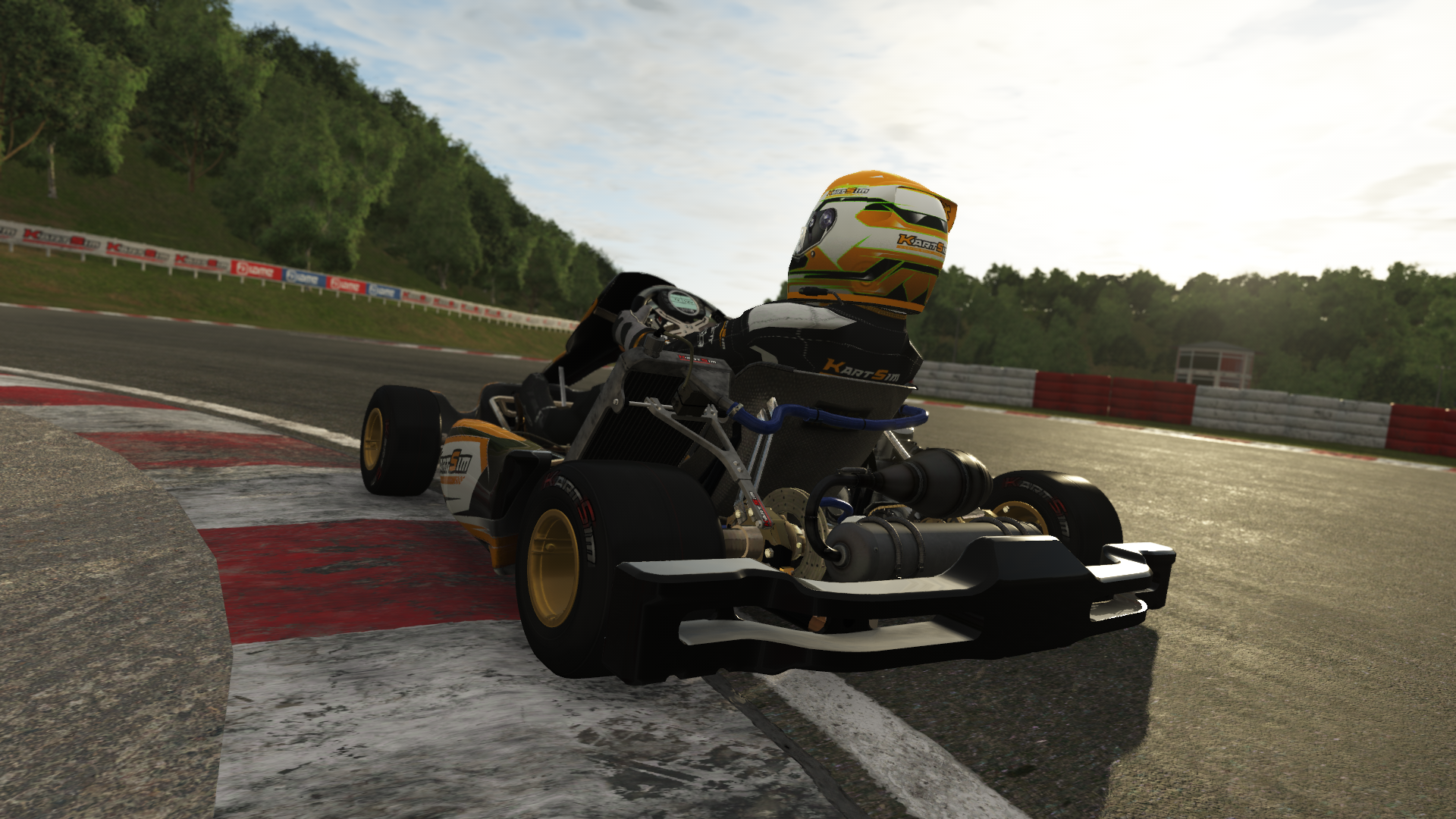 KZ EU 006 shifter kart with 125cc 6-speed gearbox engine, designed for European drivers, featured on KartSim software for immersive virtual kart racing