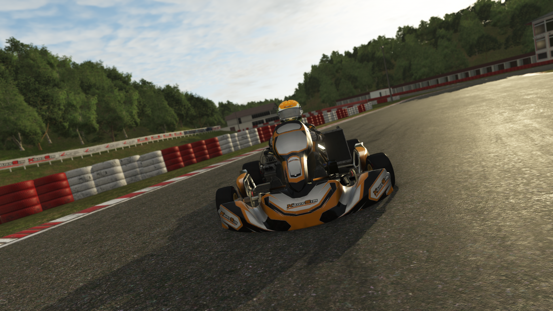 KZ EU 008 shifter kart with 125cc 6-speed gearbox engine, designed for European drivers, featured on KartSim software for immersive virtual kart racing
