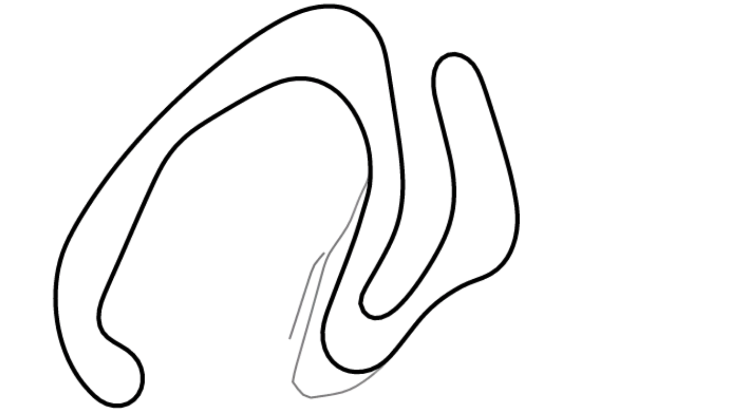 Track map of Larkhall kart circuit from KartSim Pro UK software, Scotland’s premier karting venue with a flowing layout.