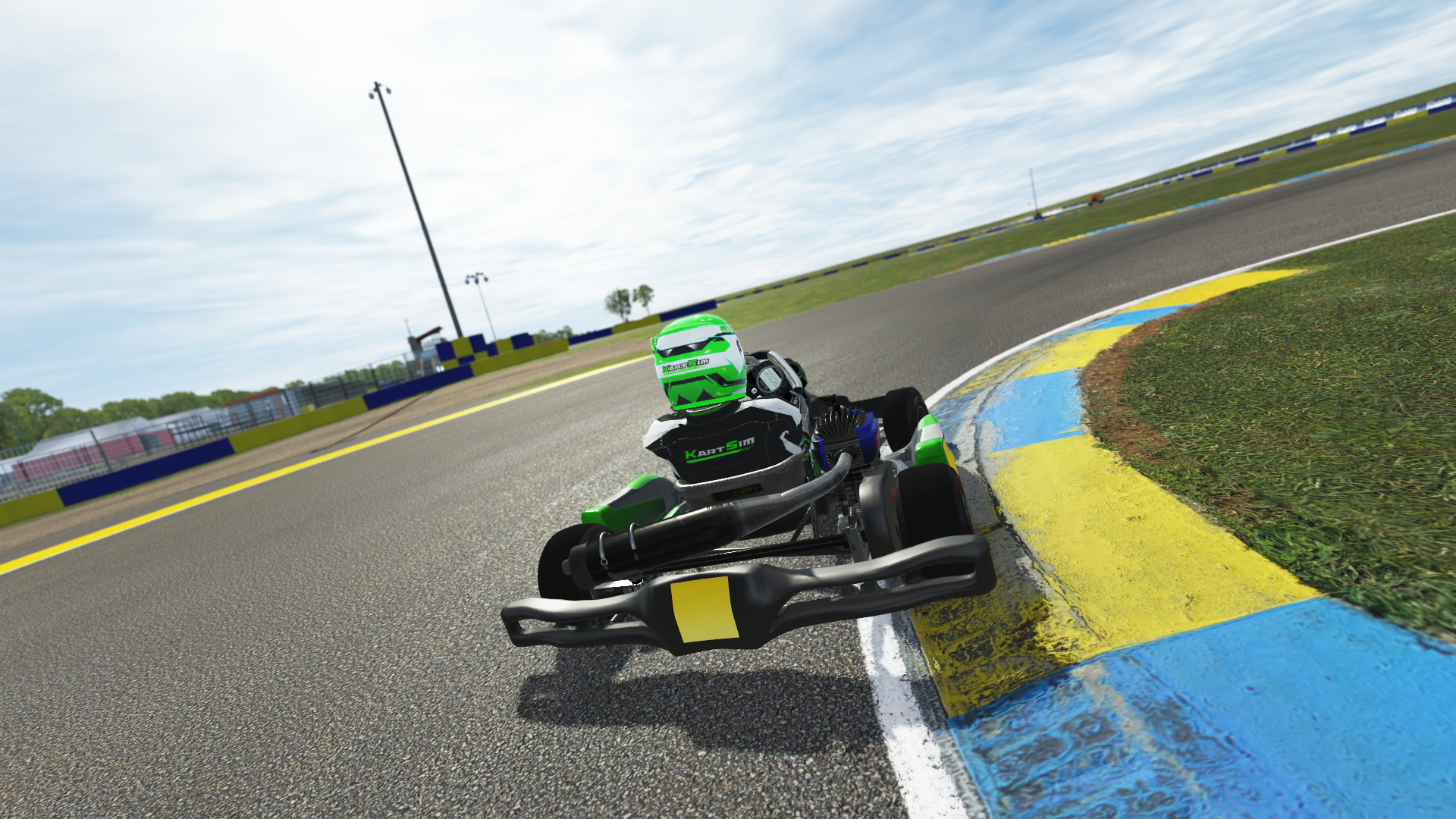 Mini 60 EU 008 kart with 60cc 2-stroke engine, designed for young drivers in Europe, featured on KartSim software for immersive virtual kart racing