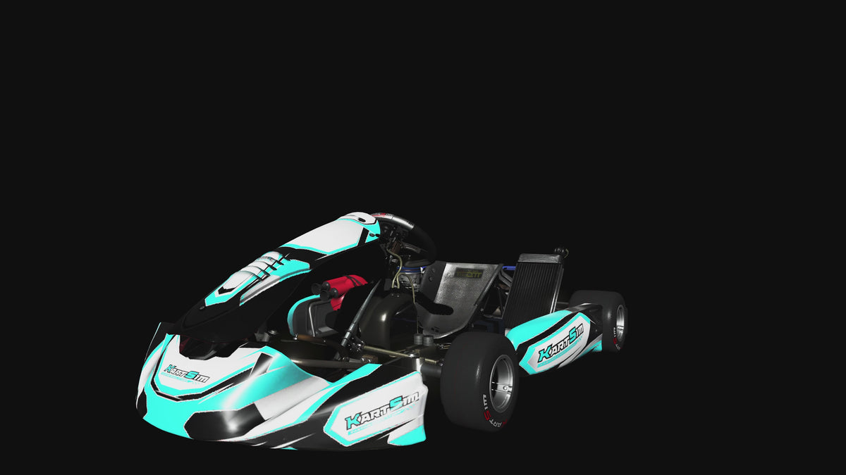Load video: IAME Senior OKN - 2026 kart video