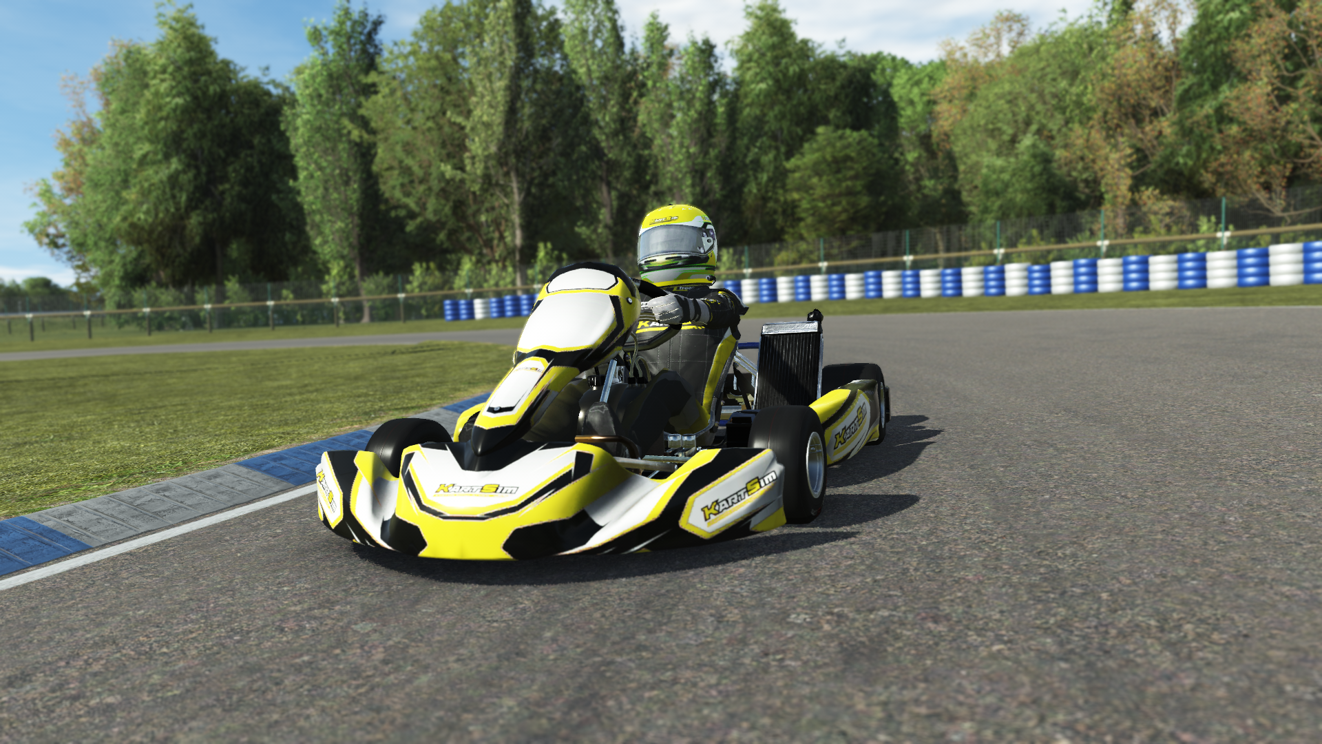 Senior OK EU 008 kart with high-performance 125cc 2-stroke engine, designed for senior drivers in Europe, featured on KartSim software for realistic virtual kart racing