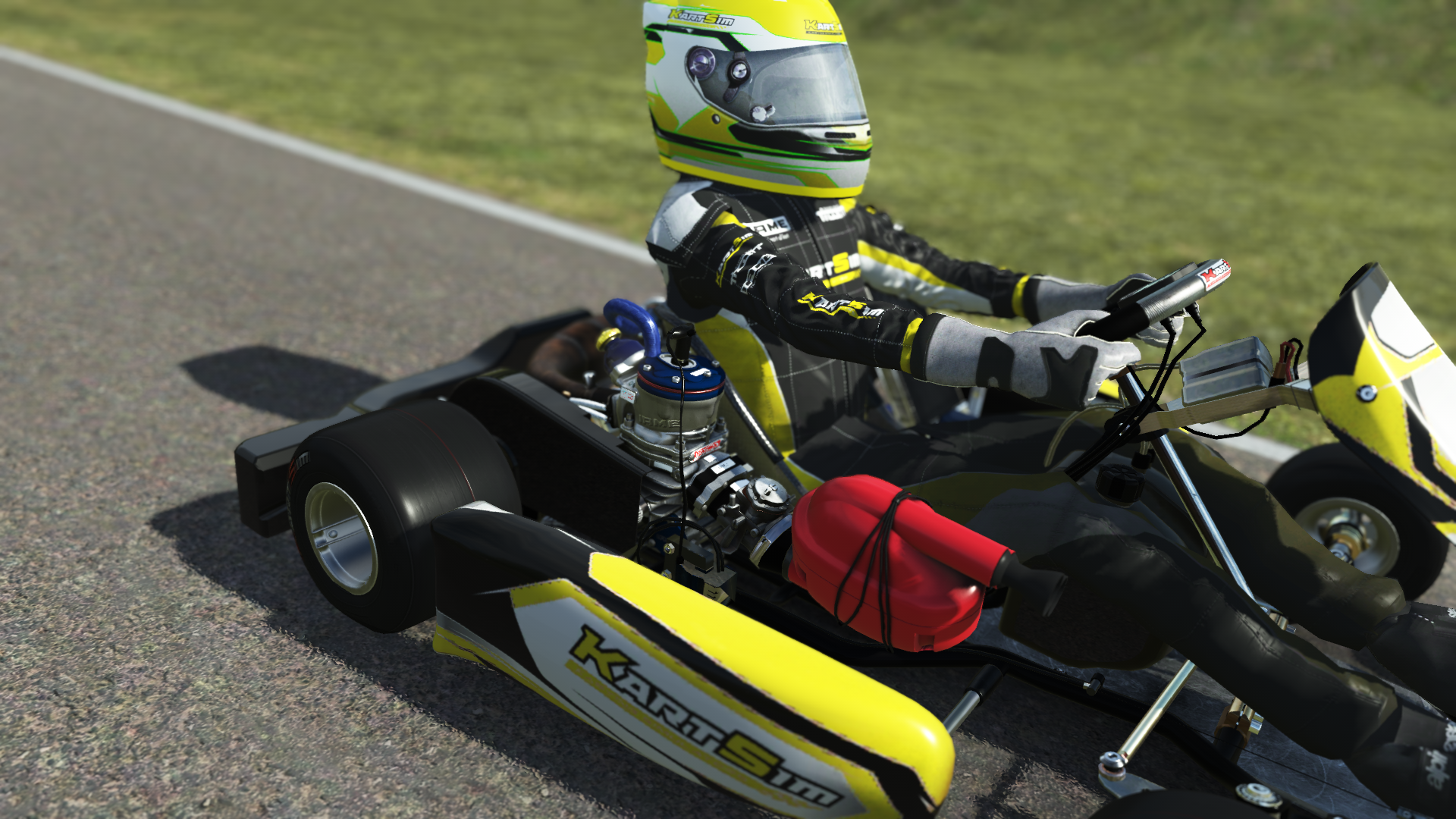 Senior OK EU 009 kart with high-performance 125cc 2-stroke engine, designed for senior drivers in Europe, featured on KartSim software for immersive virtual kart racing