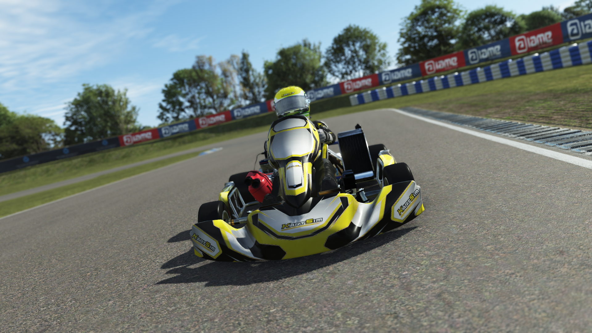 Senior OK EU 011 kart with high-performance 125cc 2-stroke engine, designed for senior drivers in Europe, featured on KartSim software for immersive virtual kart racing