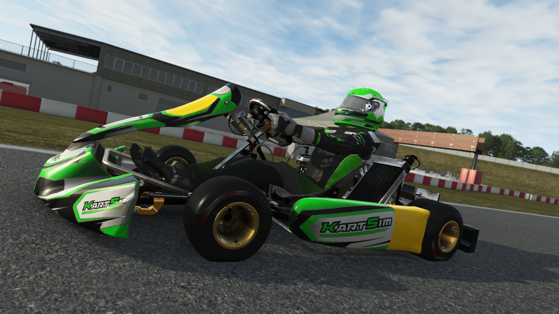 Senior X30 EU 007 kart with 125cc 2-stroke engine, designed for senior drivers in Europe, featured on KartSim software for realistic virtual kart racing