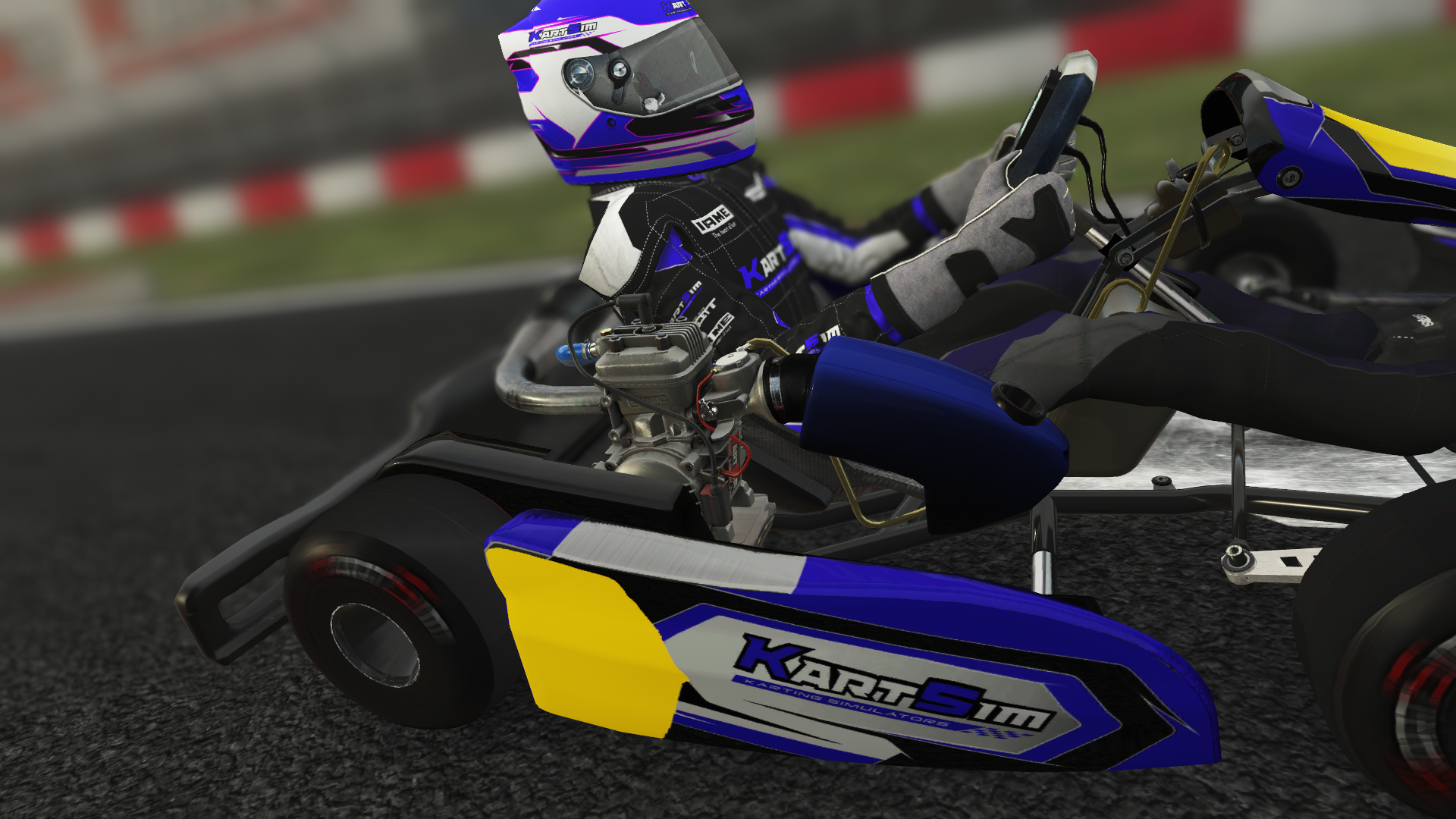 X30 Cadet EU 006 kart with 125cc 2-stroke engine, designed for cadet drivers in Europe, featured on KartSim software for realistic virtual kart racing