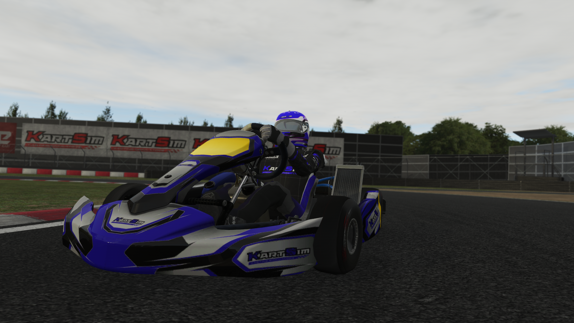 X30 Cadet EU 007 kart with 125cc 2-stroke engine, designed for cadet drivers in Europe, featured on KartSim software for immersive virtual kart racing